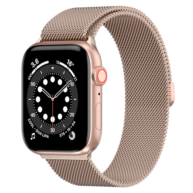 SwitchEasy Mesh Stainless Steel Loop Strap For Apple Watch